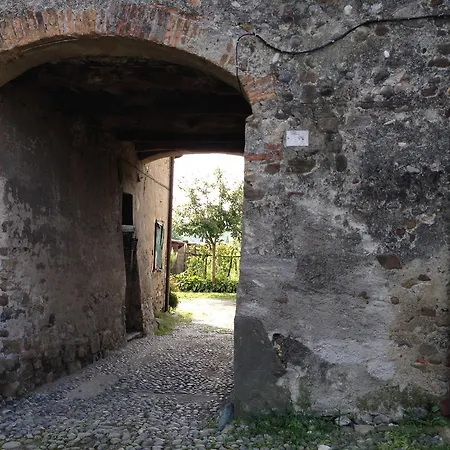 L'erbavoglio